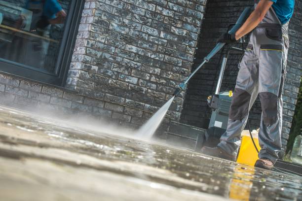 Best Soft Washing  in Chicago Ridge, IL
