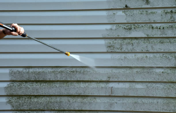 Best Fence Cleaning  in Chicago Ridge, IL