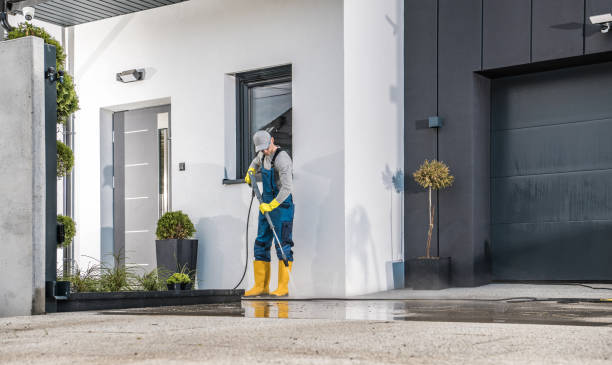 Best Fleet Vehicle Washing  in Chicago Ridge, IL